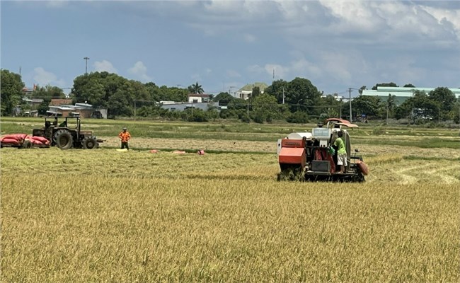 Hợp tác để gia tăng giá trị nông sản (11+12/02/2023)